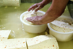 Cheese production