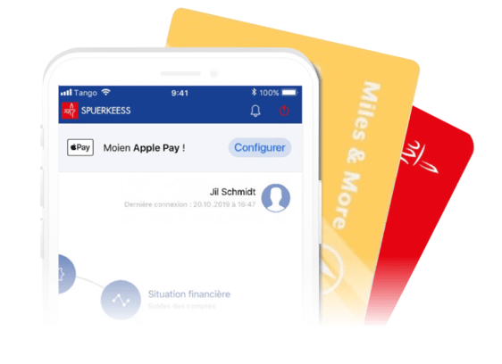 Ecran d'accueil d'Apple Pay dans S-Net Mobile